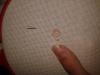 post-32946-1437415256_thumb.jpg