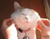 post-478-1250850091_thumb.jpg