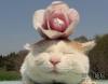 post-478-1250850097_thumb.jpg