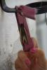 post-10362-1344004748_thumb.jpg