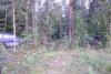 post-10362-1346010270_thumb.jpg