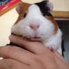 post-10875-1376993403_thumb.jpg