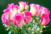 post-11051-1376764201_thumb.png
