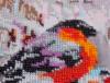 post-4663-1375978391_thumb.jpg