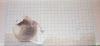 post-8889-1377969323_thumb.jpg