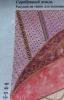 post-2-1407067087_thumb.jpg