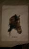 post-2-1408881671_thumb.jpg