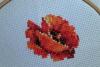 post-2-1408890029_thumb.jpg