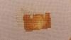 post-2-1408890109_thumb.jpg