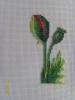post-27250-1406866160_thumb.jpg