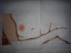 post-27746-1409071471_thumb.jpg