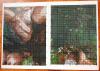 post-27928-1408788994_thumb.jpg
