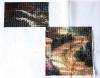 post-27928-1408789081_thumb.jpg