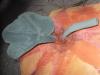 post-10605-1440611261_thumb.jpg