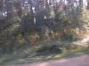 post-12795-1441053034_thumb.jpg