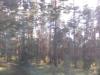 post-12795-1441053035_thumb.jpg