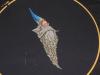 post-18279-1438448964_thumb.jpg