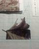 post-24978-1440624484_thumb.jpg