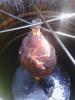 post-25070-1440397353_thumb.jpg