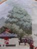 DSCN5175.JPG