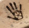 post-34512-1440333926_thumb.jpg