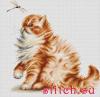 Luca-S B2270, Kitten with a dragonfly