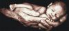 post-4746-1439559641_thumb.jpg