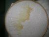 DSC02755.JPG
