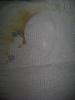 DSC02807.JPG