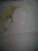 post-272-1316060672_thumb.jpg