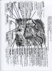 post-3863-1316588188_thumb.jpg