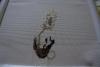 post-10334-1348860211_thumb.jpg