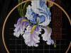 DSCN7569.JPG