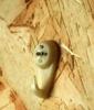 post-8828-1348755384_thumb.jpg