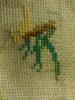 post-10167-1380130024_thumb.jpg