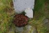 post-10362-1378064388_thumb.jpg