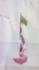 post-19406-1378809654_thumb.jpg