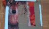 post-2-1378046770_thumb.jpg