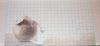 post-2-1378058987_thumb.jpg