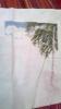 post-2-1379864758_thumb.jpg