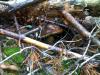 post-20830-1379766675_thumb.jpg
