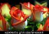 post-18818-1411109116_thumb.jpg
