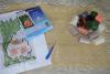 post-2-1410706071_thumb.jpg