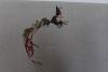 post-21071-1411827201_thumb.jpg