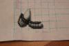 post-24978-1411570951_thumb.jpg