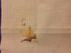 post-28260-1410183752_thumb.jpg