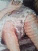 post-28874-1410793445_thumb.jpg