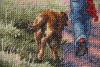 post-3183-1410356989_thumb.jpg