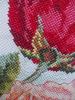 post-3183-1411536403_thumb.jpg