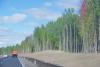 post-10362-1441370462_thumb.jpg